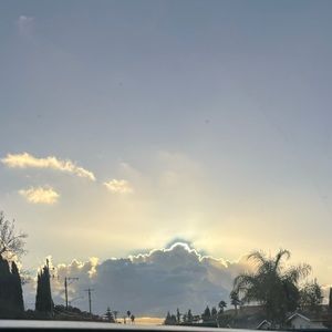 Meet your Posher, Autumn